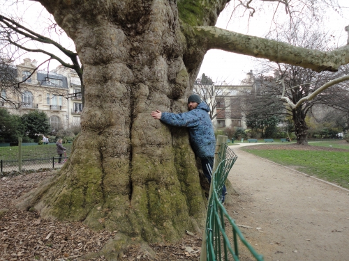 ZZinsolite8.JPG