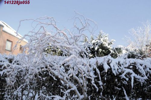 Paysages sous la neige (Auderghem 141228)