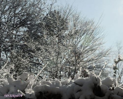 Paysages sous la neige (Auderghem 141228)