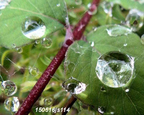 Après la pluie !