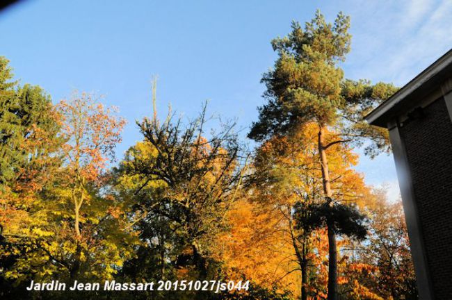 L'automne au jardin Jean Massart