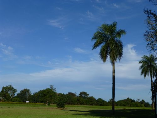 paysage Paraguay