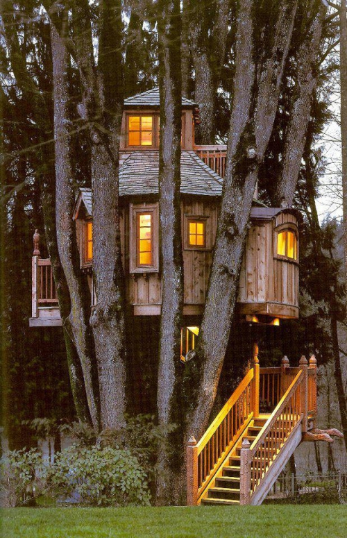 maison dans l'arbre 01.jpg