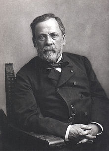 Louis Pasteur.jpg