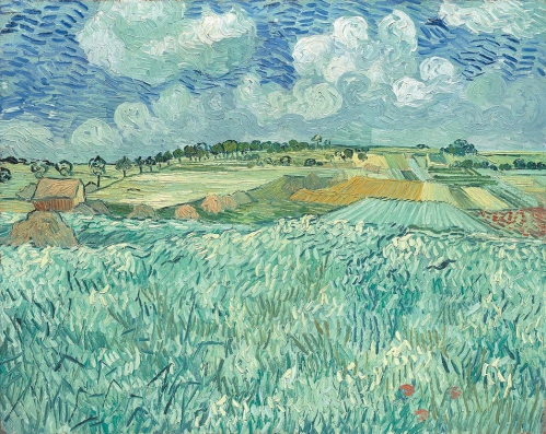 Vincent van Gogh (1853-1890) Plain near Auvers 1890.jpg