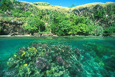 Papouasie Nouvelle Guinée 02.jpg