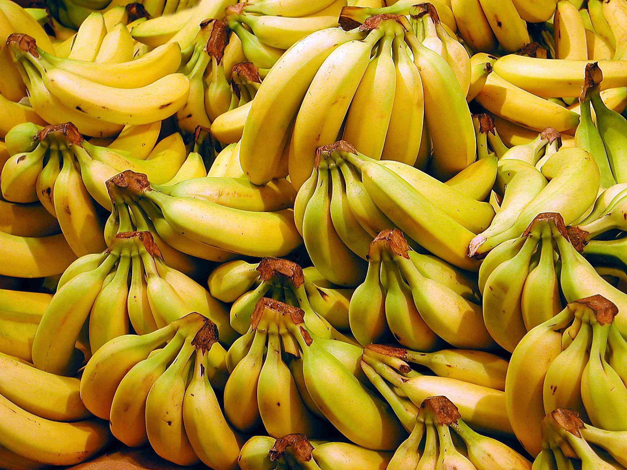 Bananes.jpg