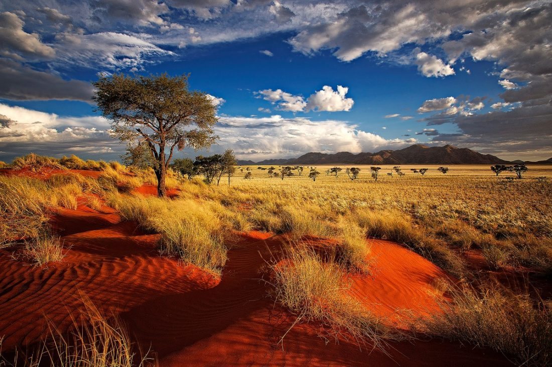 Namibia-5.jpg