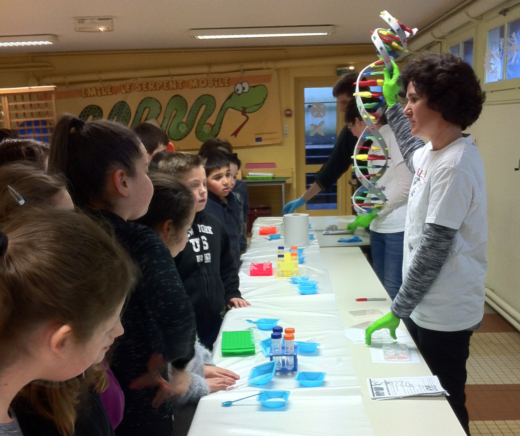 Dans le cadre de la quinzaine des parents   l école une équipe de chercheurs et médecins est venu expliquer l ADN et les chromosomes aux enfants de l école