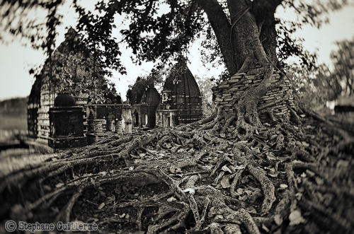 Small DSC_0146 Temples et arbre Shivrinarayan.jpg