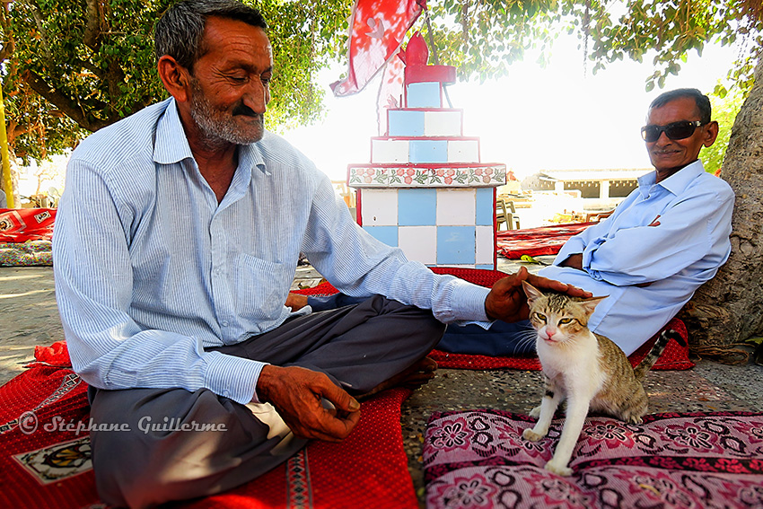 IMG_3688 Hommes Maher et le chat Lirbai mandir Modhwala Small.jpg