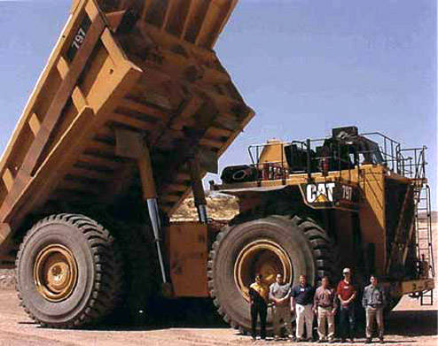 cat797[1].jpg