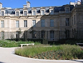 Jardin.jpg