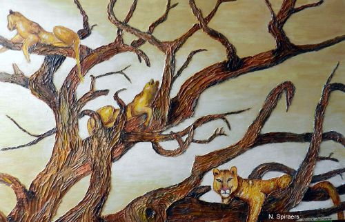 La sieste des lionnes (sur tronc d'acacia)