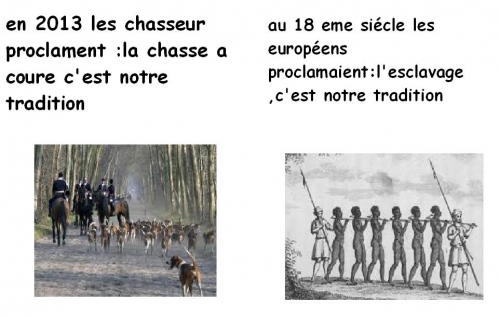 la chasse a coure.JPG