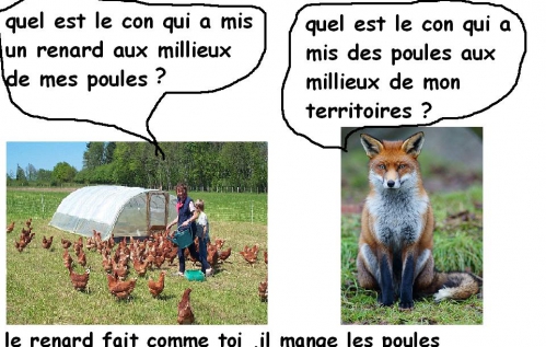 le renard fait comme toi.JPG