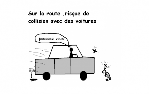 sur la route corriger.PNG