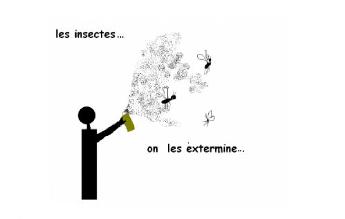 les insectes ..corrigé.PNG