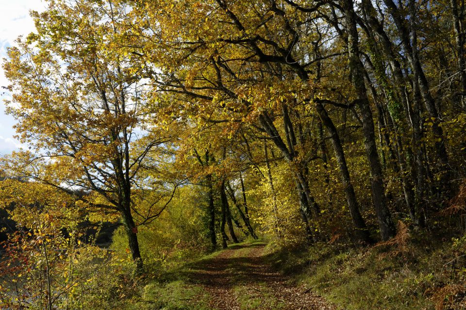 photos-nature-de--france