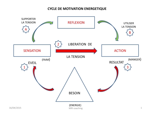 Cycle de motivation énergétique.jpg