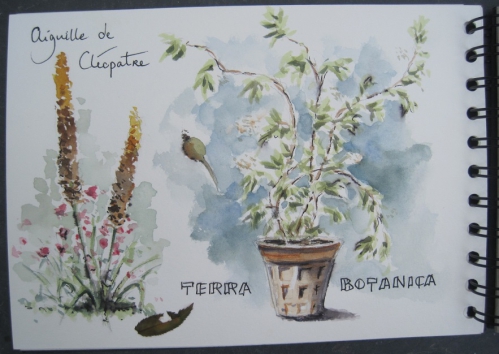 Terra Botanica (1).JPG