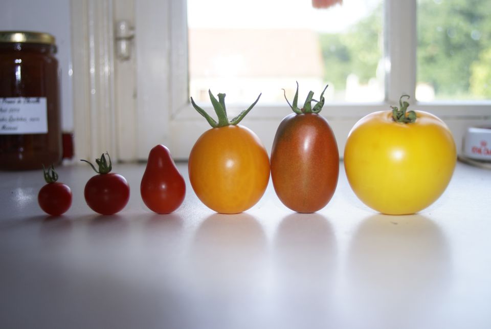 Au Tour du Panier