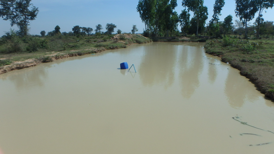 kbal mous bassin et pompe.JPG