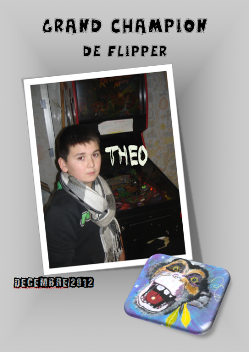 Théo, champion de flipper-Décembre 2012