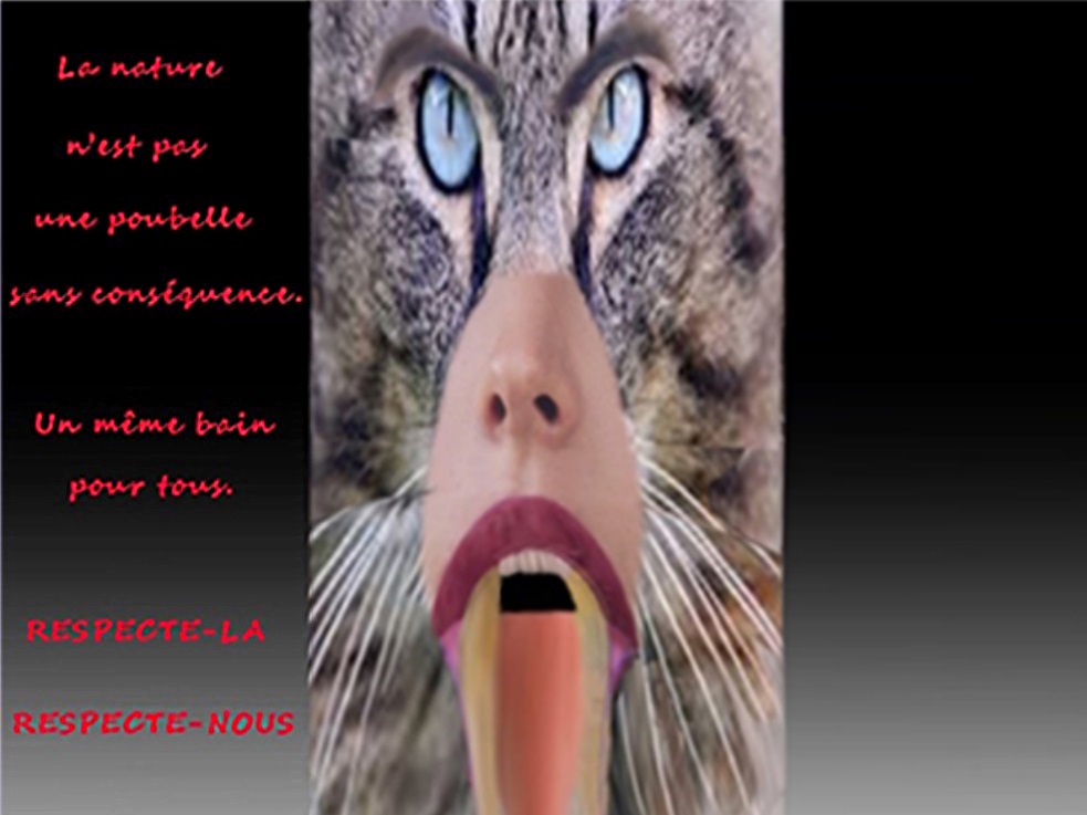 Masque de fus° femme-chat colère sourcilsOK2.jpg