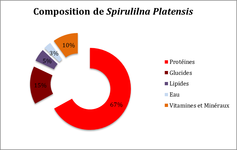 Spiruline et musculation : une algue riche en protéines - Espace