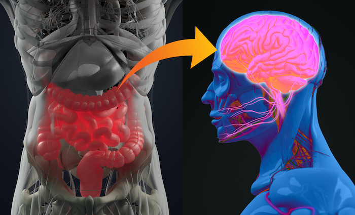 nouveaux-liens-entre-microbiote-intestinal-et-depression.jpeg