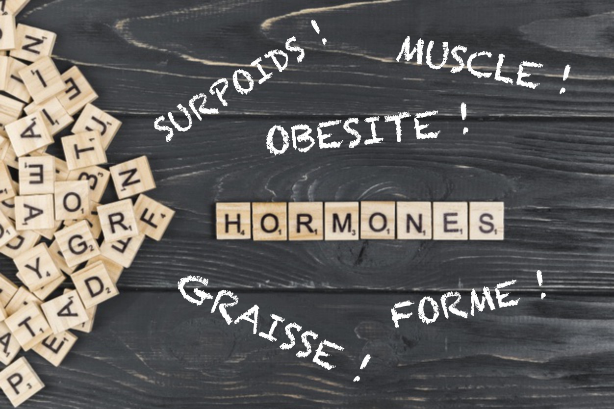 les-6-hormones-qui-transforment-votre-corps-revolutionmaigrir.com_.jpg