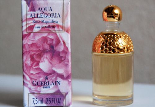 Aqua Allegoria Rosa Magnifica 1998