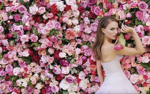 La-vie-en-rose-le-film-making-of-de-la-publicite-Miss-Dior-avec-Natalie-Portman-printemps-ete-2013_portrait_w858.jpg