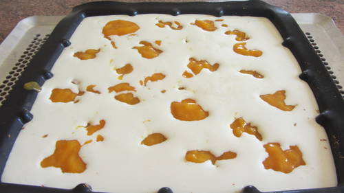 2013-08-20 cheesecake abricot (19).JPG