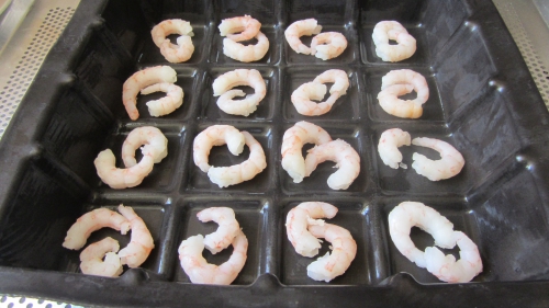 2014-05-18 terrine saumon crevettes (11).JPG