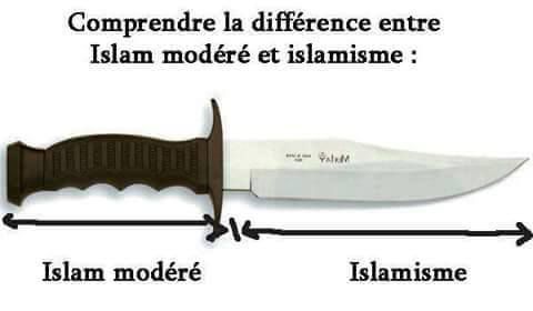 Quelle différence entre ISLAM MODERE  &  EXTREMISME