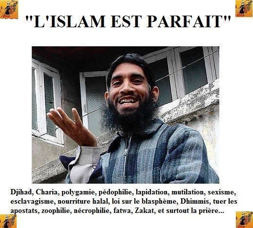 L'islam ... , qu'elle est cette chose ...