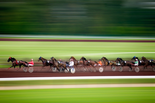 hippodrome de vichy.jpg