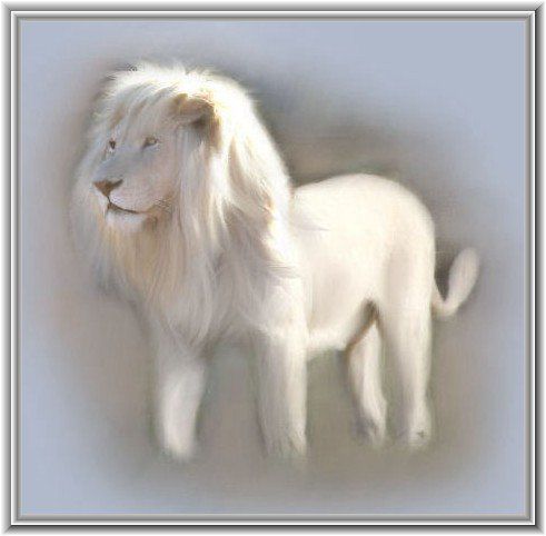 le lion blanc