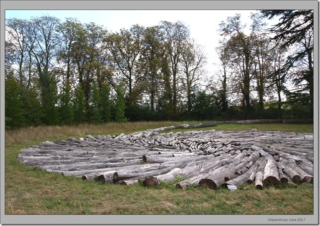 2017 jardins de chaumont bois.jpg