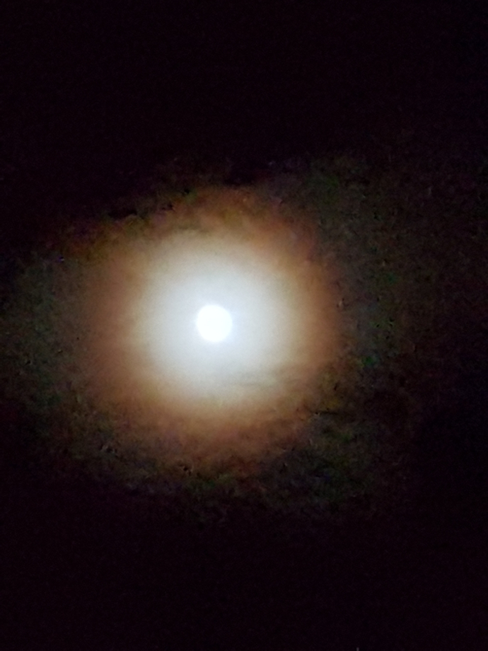 20221206 lune.jpg