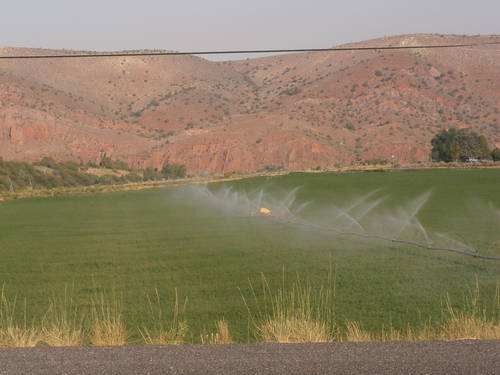 P7100049.JPG