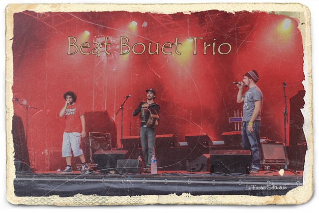 beat bouet trio auray 2015 (9).jpg