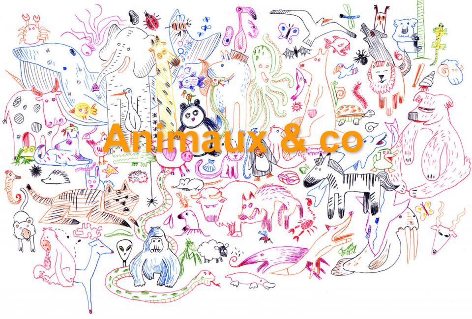 Animaux & co