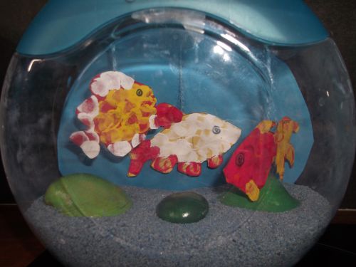 Aquarium et ses petits poissons ! 2013