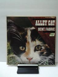 Cat Alley -Bent Fabric.jpg