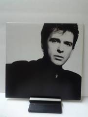 Gabriel Peter-Peter Gabriel.jpg