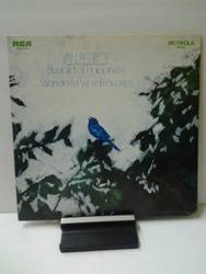 Peerce Jan -Bluebird of Happiness.jpg