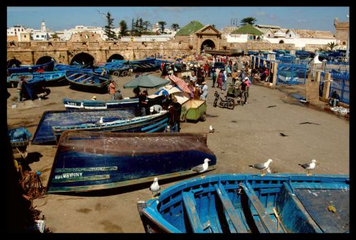Dans le Port d'Essaouira , y'a des marins qui ..... Mars 2012 - FOULIGNY . F.
